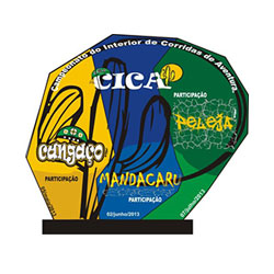 CICA 2013 - 3ª etapa - Peleja
