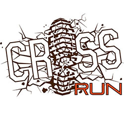 Cross Run 2013