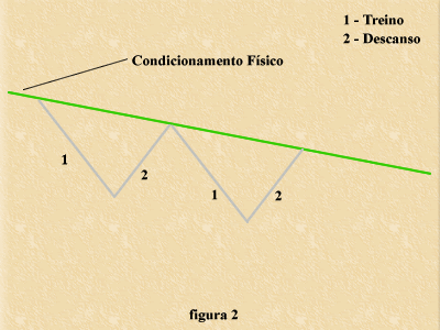 fig2.gif