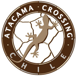 Atacama Crossing 2025