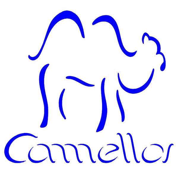 Camellos Corrida de Aventura 2022