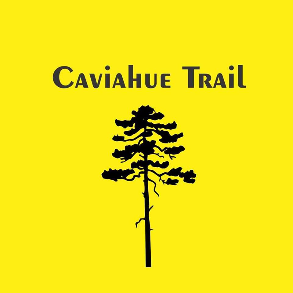 Caviahue Trail 2020