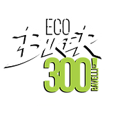 Eco Biker 300 by Ravelli 2019