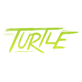 Turtle Run 2017