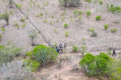 Bahia-Adventure-Festiva-2025_WT-0165