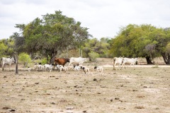 Bahia-Adventure-Festiva-2025_WT-0179