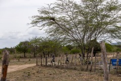 Bahia-Adventure-Festiva-2025_WT-0270