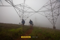 Boi-Preto-2024_WT_0112