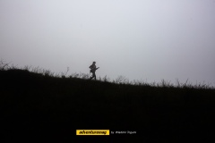 Boi-Preto-2024_WT_0120