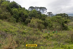 LMB2024-Lancamento_00024